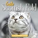 Gato Scottish Fold Calendario 2022: Calendario 12 meses 2022 - 8.5 x 8.5 in cuando está cerrado y 8.5 x 17.0 in abierto.- Organización y Planificación - Perfecto como regalos, suministros de oficina