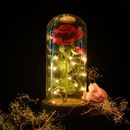 Beauty And The Beast Rose Glass Dome LED Lighted Mother's Day Gift For Her