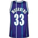Mitchell & Ness Swingman Alonzo Mourning Charlotte Hornets 94/95 Jersey, Purple, L