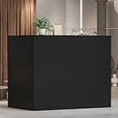 Hitow Modern Reception Desk Counter Table, L-Shap Reception Room Front Desk with Lockable Drawer & Open Shelves, Retail Counter for Salon Checkout Office, Black (55.9" W x 32.3" D x 48.4" H)