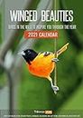 Tallenge - Winged Beauties - 2021, Wall Calendar 11.6 x 16.5 Inches for Home & Office (Paper, Wall Calendar)
