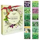 Garden Pack Herb Seeds for Planting & Outdoors, 12 Varieties, 15000 15000 Seeds Multipack Ready to Grow Starter Kit with Heirloom Seeds to Grow Aromatic Basil, Coriander, Oregano, Sage & More