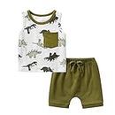 Toddler Baby Boy Summer Clothes Infant Sleeveless Dinosaur Print Top T-Shirt Shorts 2pcs Clothing Set Army Green 6-9 Months