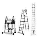 Corvids Portable and Compact 22 feet A Type Aluminium Telescopic Ladder with 16 Steps;| 2-Year Warranty | for Household and Outdoor Use, EN131 Certified (22 ft (6.6 m) - A Type) Silver