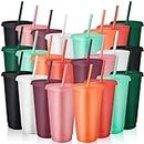Tumblers with Lids and Straws, 24 Pcs Reusable Cups with Lids Plastic Colorful Cups for Parties Birthdays, Iced Coffee Cup Travel Mug Cold Drink Cups Bulk Tumblers (24 oz,Assorted Colors)