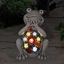 Goodeco Solar Garden Frog Statue Outdoor Ornament with succulent and 7 LED Lights - Home Lawn Decor Garden Frog figurine for Patio,Balcony,Yard,Lawn-Unique Housewarming Gift,20cm