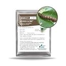 GAIAGEN Spodo® Lure - Pheromone Lure for Tobacco Caterpillar (Spodoptera litura) | Pack of 10 | (Does not Include Traps)