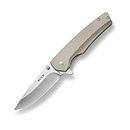 Buck Knives 254 Odessa Folding Frame Lock Pocket Knife with Stainless Steel Handle