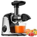 Juicer, Slow Masticating Juicer Machine with 2 Speed Modes & Reverse Function, BPA-Free Cold Press Juicer with Quiet Motor, Includes Cleaning Brush & Recipes for Vegetables and Fruits