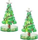 IDELLA Magic Growing Crystal Christmas Tree, DIY Decorations Tree, Funny Educational and Party Toys, Kids DIY Felt Magic Growing Xmas Ornaments
