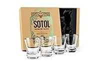 Sotol Tequila Sipping Glasses | Tequila Tasting Collection | Set of 4 | 6 oz Professional Glassware Sippers for Drinking Joven, Reposado, Anejo Sotols | Stemless Heavy Based Liquor Snifters