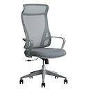 Seki Furniture Office Chair, Desk Chair, Mesh, Gray, Colma 396271