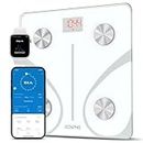 RENPHO Body Fat Scale Smart BMI Scale Digital Bathroom Wireless Weight Scale, Elis 1 Body Composition Analyzer with Smartphone App sync with Bluetooth, 400 lbs