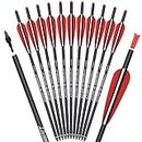 Carbon Crossbow Bolts 20 Inch Hunting Archery Arrows with 4" Vanes Replaced Arrowhead Tip (Pack of 12)