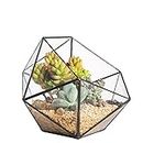 NCYP Opened Geometric Glass Terrarium, 6.69" Bowl Shape Planter for Succulent Plant Cacti, Indoor Balcony Irregular Decor, Garden Miniature Pot, Tabletop Centerpiece (No Plants)