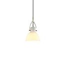 MayNuo E26/E27 Single Head Hanging Light Glass Lampshade Bedside Suspension Lamp Fixtures Hanging Wire Adjustable Indoor Iron Ceiling Plate Clothing Shop Fast Restaurant Chandelier