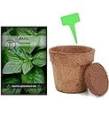 Organic Basil Seeds with Garden Kit Indoor - Herb Plants for Women and Men, Indoor Herb Garden Starter Kit, Plant Growing Kit - Home Garden