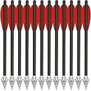 HUNTSPM 6.3" Carbon Pistol Crossbow Bolts,Mini Crossbow Arrows with Broadhead Tips Hunting Arrows for 50-80lbs Pistol Crossbow for Adults Target Practice Hunting Shooting Fishing (Red, 12pcs)