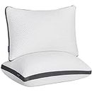 Molblly Pillows 2 Pack Shredded Memory Foam Pillow, Cooing Pillows for Sleeping,Hypoallergenic Hotel Bed Pillows Pillows for Neck and Shoulder Pain,Standard Size Washable (51 * 66,1 Pair)