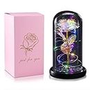 Beautiful Flower Rose, Galaxy Artificial Rose with Beautiful Lights, Beauty and The Beast Rose Unique Gifts, Birthday Gift