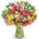 Blumenstrauß mit 33 Bunten Inkalilien (Alstroemeria) als Ideales Blumengeschenk, 200 Farbenfrohe Blüten, Qualität vom Floristen, 7-Tage-Frischegarantie, schneller Blumenversand