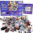 DANCING BEAR Rock & Mineral Collection Activity Kit (200+Pcs) with Geodes, Shark Teeth Fossils, Arrowheads, Crystals, Gemstones for Kids, Rock Book, Treasure Hunt ID Sheet, STEM Education, Made in USA