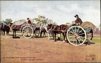 Ak Australien, An Australian Sheep Station, Rabbit poison carts - 10704717