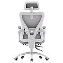 SSWERWEQ Chaises de Bureau Ergonomic Office Chair Office Gamer Swivel Chair Mobile Recliner Recliner backrest Seat