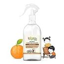 Koparo Natural Furniture Cleaner & Conditioner Spray | 300 ml | 3-in-1 Clean, Condition & Protect Wooden Items | Plant Based | Biodegradable, Non-Toxic & Eco-Friendly | Kids, Pet Safe, Skin Friendly