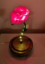 beauté et la bête enchantée rose lumière dôme cloche pot Saint-Valentin cadeau de jour 