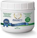 Equinety Horse XL Equine Supplement 3.5 Oz, New