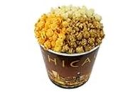 Signature Popcorn, 1-gallon Gold Chicago Skyline Reusable Plastic Bucket Tin, Butter, Caramel and Cheddar Cheese (3-Way Divider), Gourmet Popcorn Snack, Gluten Free