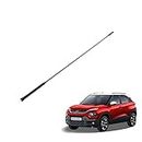 Car Roof Antenna Aerial AM/FM Radio Signal Only Replacement Rod Compatiable with Tata Punch