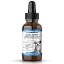 Buddy's Best Dog Joint Aid & Relief Plus | 50ml | Relieves Joint Pain in Dogs | Fast Acting Formula | Natural Ingredients | Made in the UK