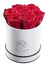 SOHO FLORAL ARTS | Roses Preserved Flowers | Genuine Roses that Last for Years | Flowers for Delivery Preserved Roses in A Box (White Box, Red Roses) | Mothers Day Gifts