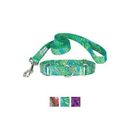 Country Brook Design Paisley Polyester Martingale Dog Collar & Leash, Green, Small: 11 to 15-in neck, 5/8-in wide