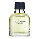 Dolce & Gabbana Homme, homme/man, Eau de Toilette, 1er Pack (1 x 125 ml)
