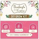Bombay Greens 3 in 1 Edible Flowers Gardening Kit by Bombay Greens | Grow Your Own Kit - Zinnia Seeds, Butterfly Pea Flower, Sunflower Plant Seeds | DIY Kit of Flower Seeds for Home Garden