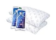 MyPillow Premium Bed Pillow 2pk (Standard/Queen, C) 2 Pack Combo