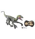 HearthSong Jurassic Adventures RC Velociraptor with Rechargeable Battery and Fossil-Shaped Remote Control, Moves in All Directions and Roars, 18" L x 8" W x 8" H