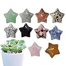 Crystal Stones - Crystal Decoration Set,Decorative Star Rock Stones Crystal for Garden, Lawn, Flowerpot, Fishbowl, Lear-au