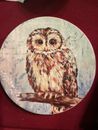 Pier 1 Imports Ironstone Six  9" Owl Plates Collectible Home Decor Dinner Plate