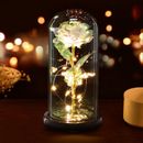 Beauty and The Beast Rose, Eternal Rose in Glass Dome, Enchanted Rose Glass led
