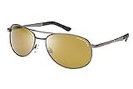 Eagle Eyes Unisex's Aviator Sunglasses, Gunmetal Frame/Gold Brown Lens, One Size