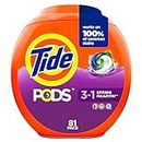 Tide PODS, Laundry Detergent Liquid Pacs, Spring Meadows, 81 Count(Pack of 1) - Packaging May Vary