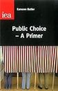 Public Choice-a Primer
