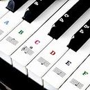 Piano Key Stickers for 37/49/54/61/88 Keys, Music Keyboard Stickers Black & White Keys Note Sticker, Electronic Keyboards Sticker, Transparent Removable Stickers for Kids Beginners (Color)