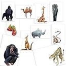 Better Office Products 100-Pack All Occasion Greeting Cards, Assorted Blank Note Cards, 4 x 6 inch, 10 Cute & Fun Wild Animal Designs, Blank Inside, with Envelopes, 100 Pack