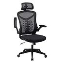 Magic Life Ergonomic Office Chair Computer Chair with Adjustable Headrest/Lumbar Support, High Back 3D Armrests Home Mesh Chair(Black)