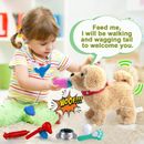Walking Dog Puppy With Light Sound Toy for 2 3 4 5 6 Year Old Boy Girl Kid child